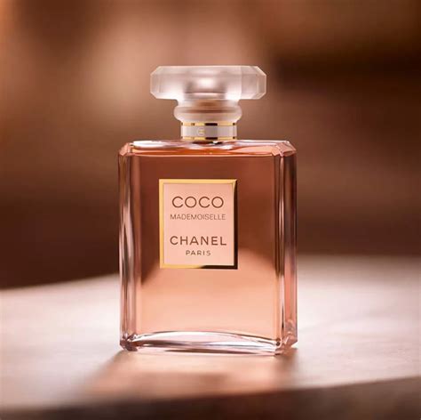 brand chanel perfumes